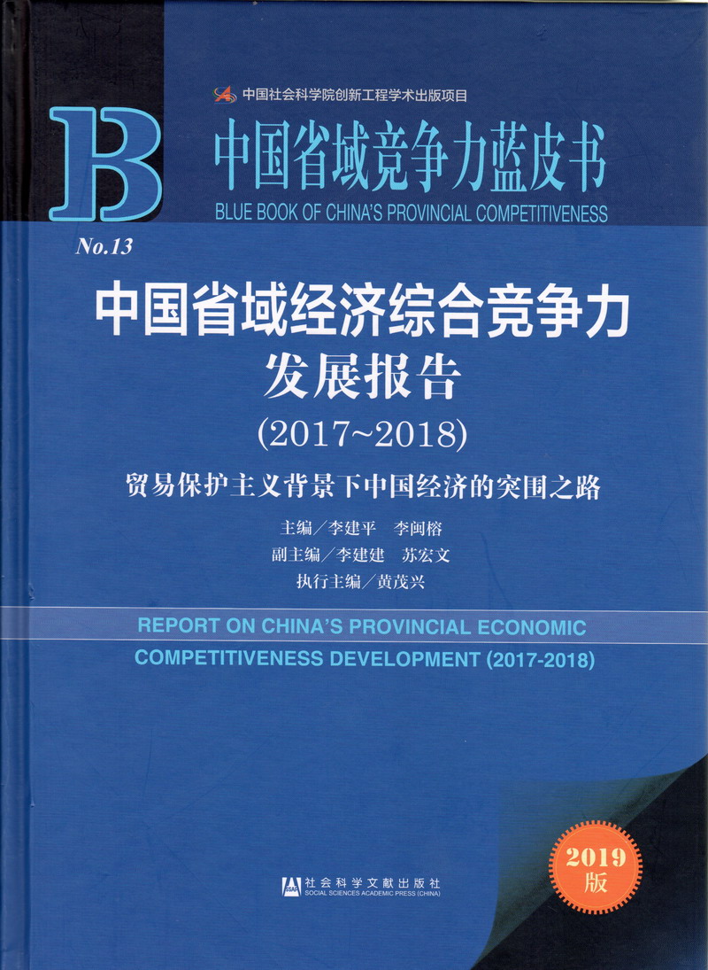 国产无套嗨零骚零中国省域经济综合竞争力发展报告（2017-2018）